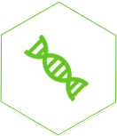 维生(shēng)素系(xì)列