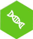 维生(shēng)素系(xì)列